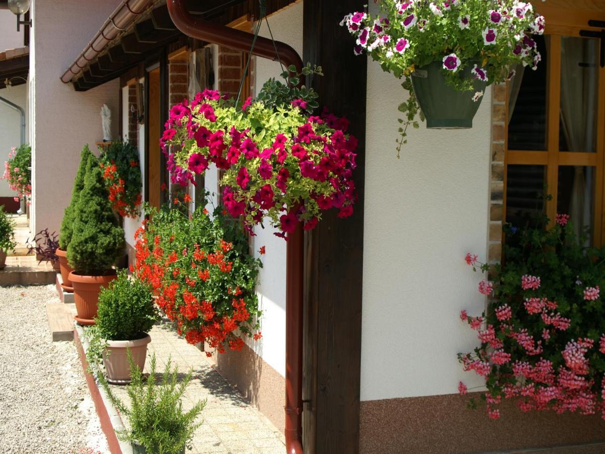 Bed & Breakfast Helena Bed & Breakfast Grabovac  Exterior photo