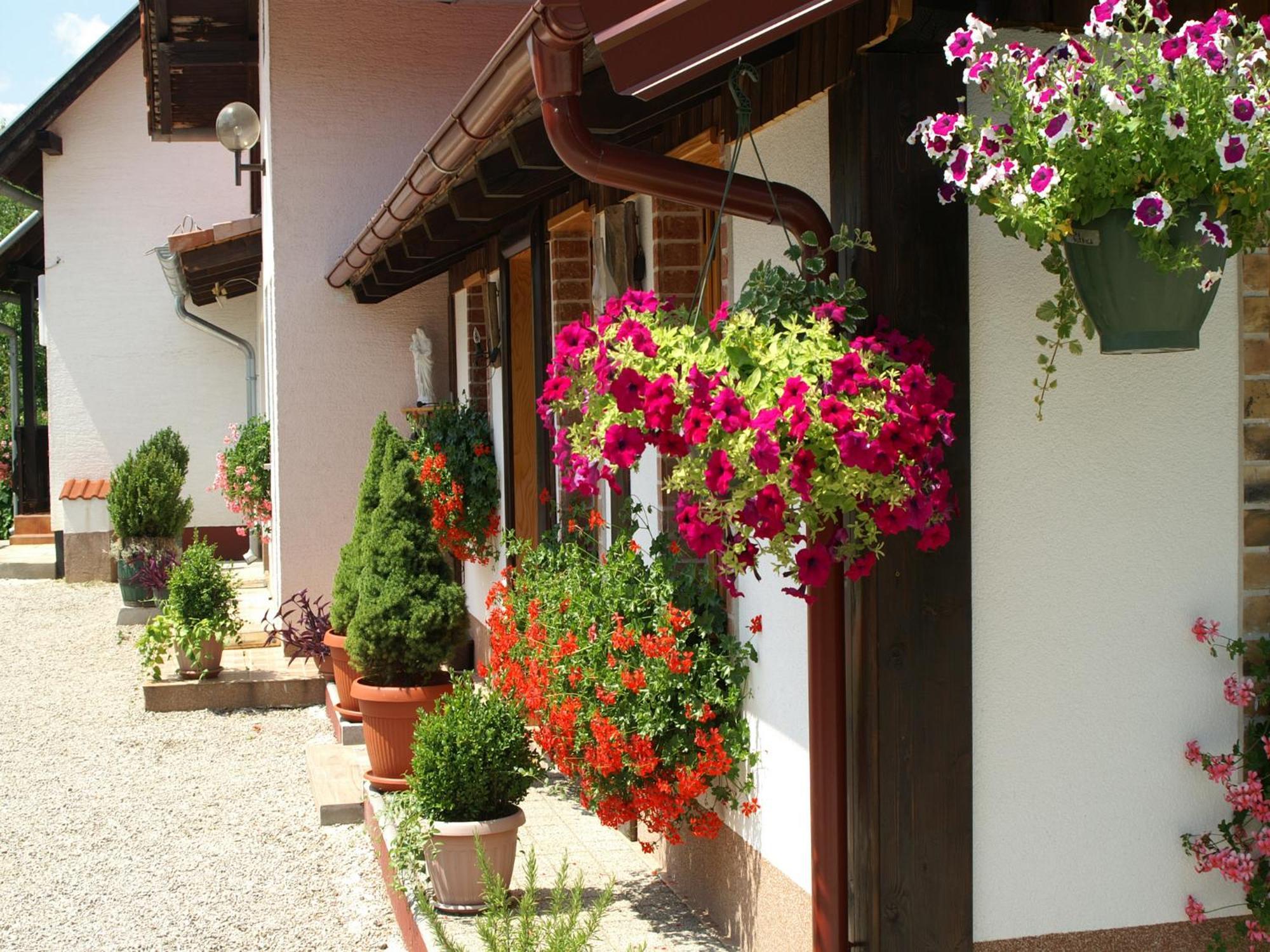 Bed & Breakfast Helena Bed & Breakfast Grabovac  Room photo